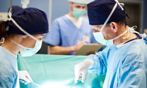 הורה לילד לאחר השתלת איבר או מח עצם